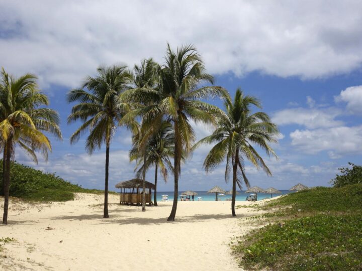 Ilha do Tesouro